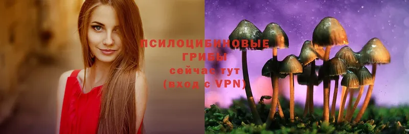 МЕГА онион  Барыш  Галлюциногенные грибы Magic Shrooms 